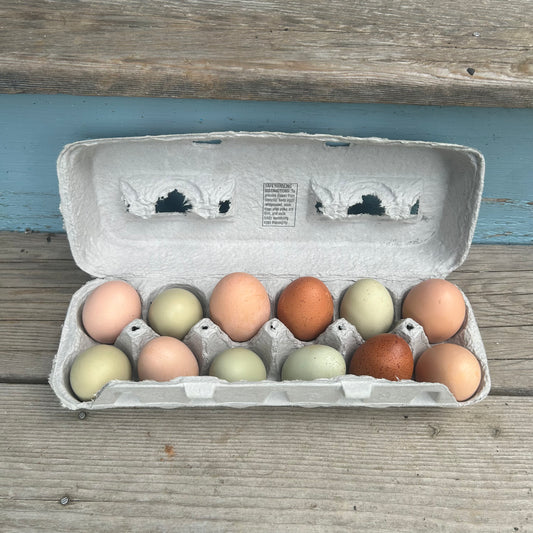Organic Eggs