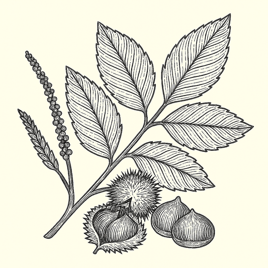 Chestnut