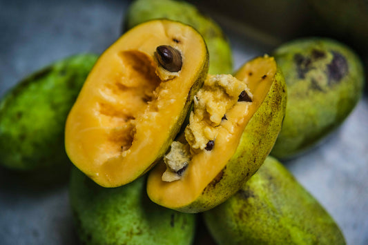 Paw Paw